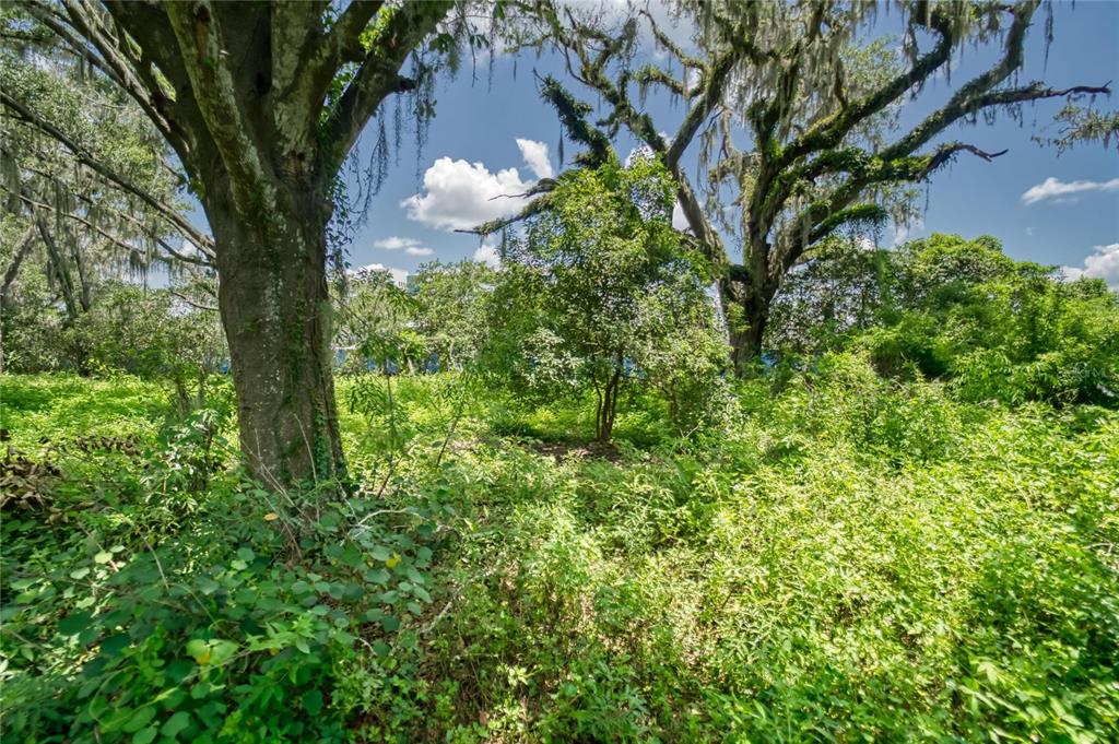 3113 North Wilder Road Plant City, FL 33563 - Photo 13 of 55