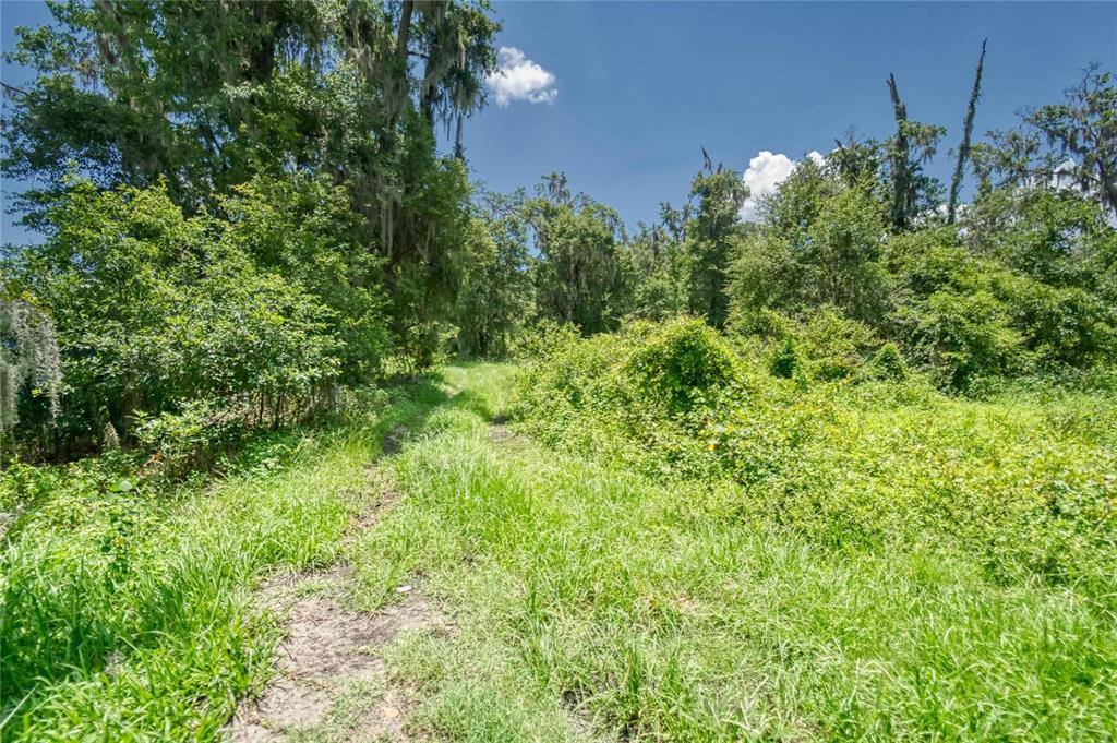 3113 North Wilder Road Plant City, FL 33563 - Photo 14 of 55