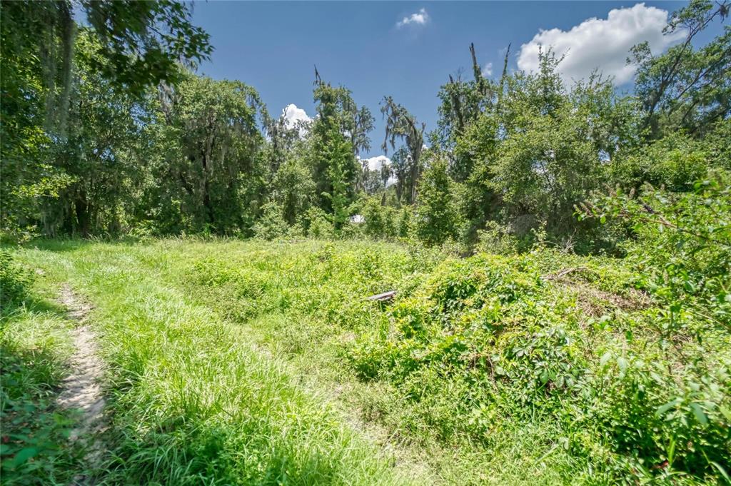 3113 North Wilder Road Plant City, FL 33563 - Photo 15 of 55