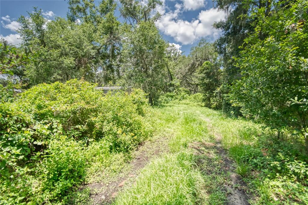 3113 North Wilder Road Plant City, FL 33563 - Photo 16 of 55