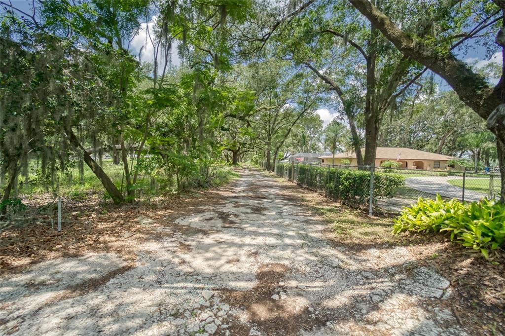 3113 North Wilder Road Plant City, FL 33563 - Photo 18 of 55