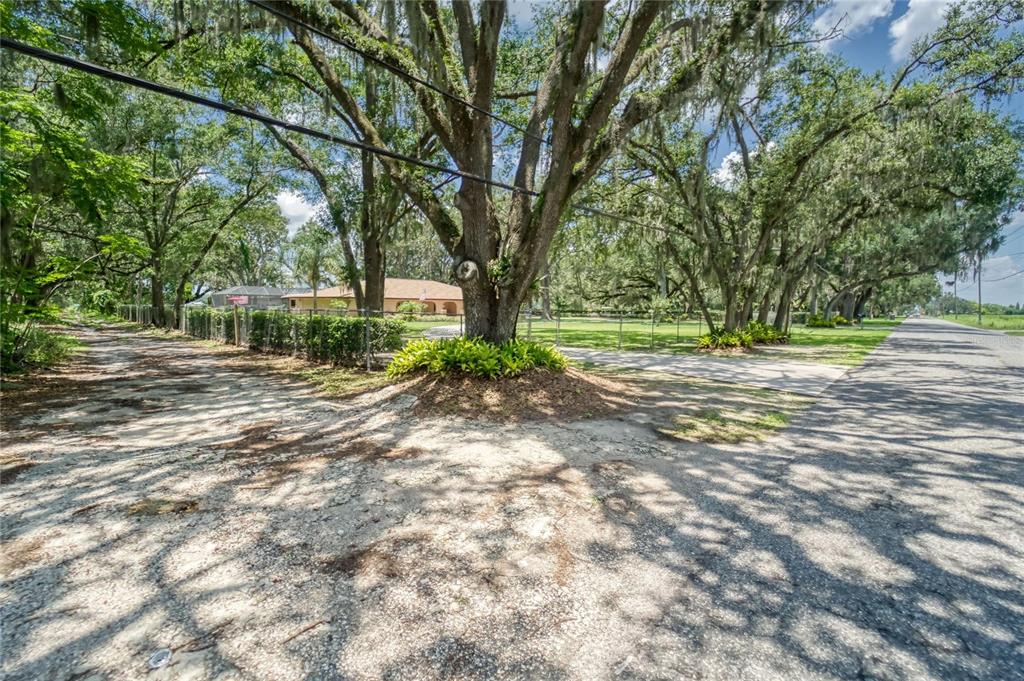 3113 North Wilder Road Plant City, FL 33563 - Photo 19 of 55