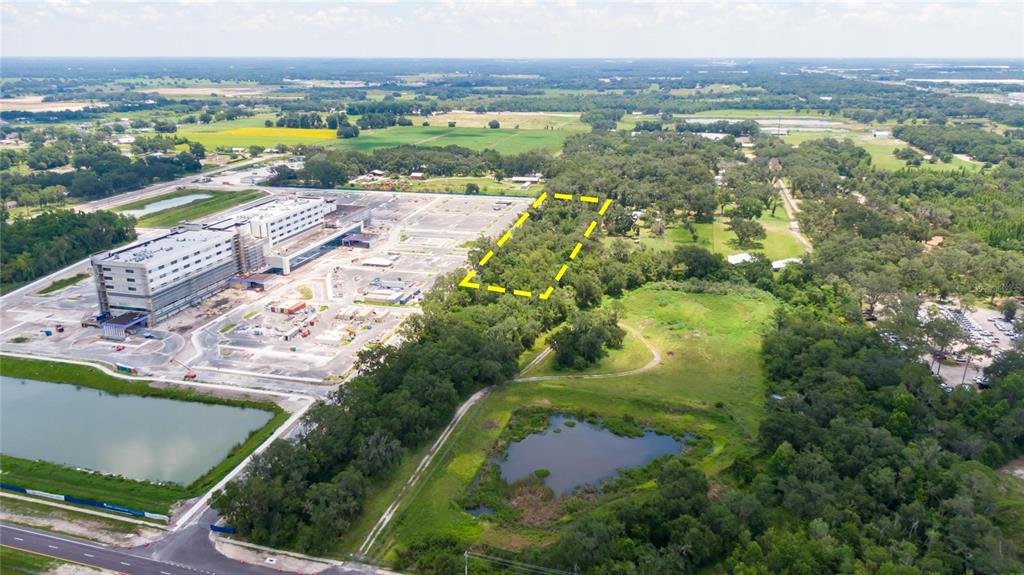 3113 North Wilder Road Plant City, FL 33563 - Photo 28 of 55