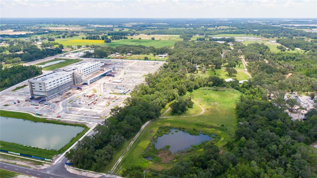 3113 North Wilder Road Plant City, FL 33563 - Photo 29 of 55