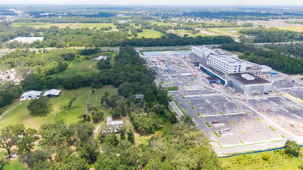 3113 North Wilder Road Plant City, FL 33563 - Photo 34 of 55