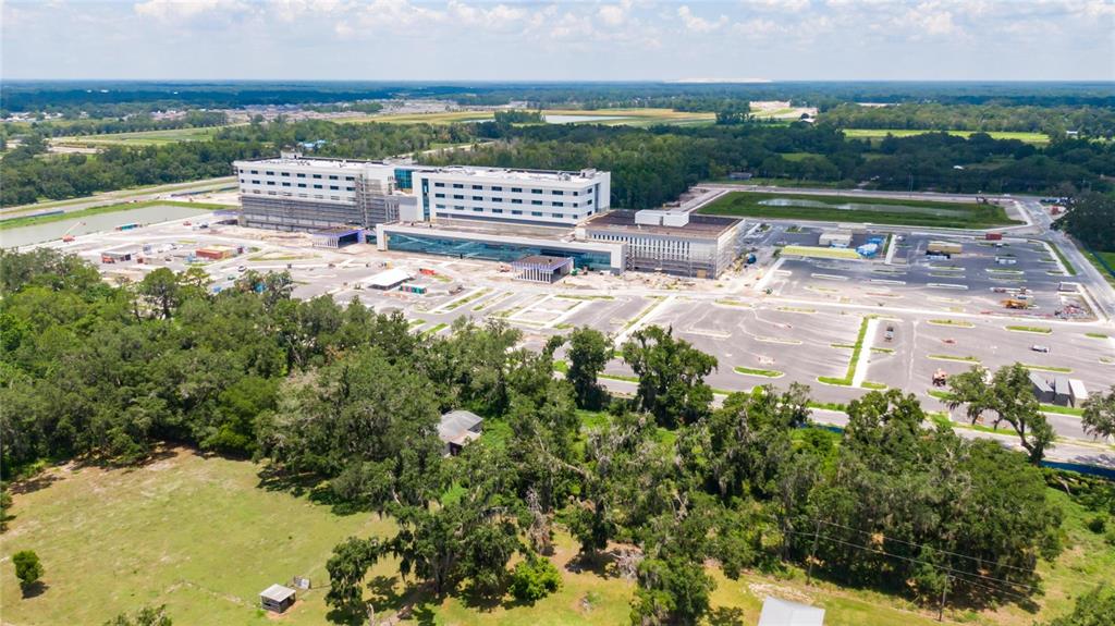 3113 North Wilder Road Plant City, FL 33563 - Photo 43 of 55
