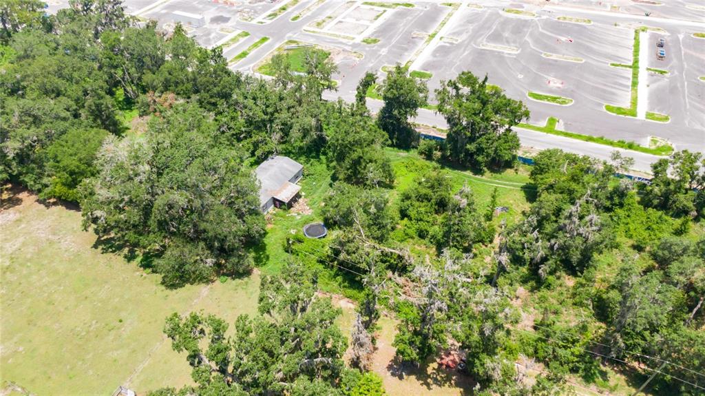 3113 North Wilder Road Plant City, FL 33563 - Photo 44 of 55