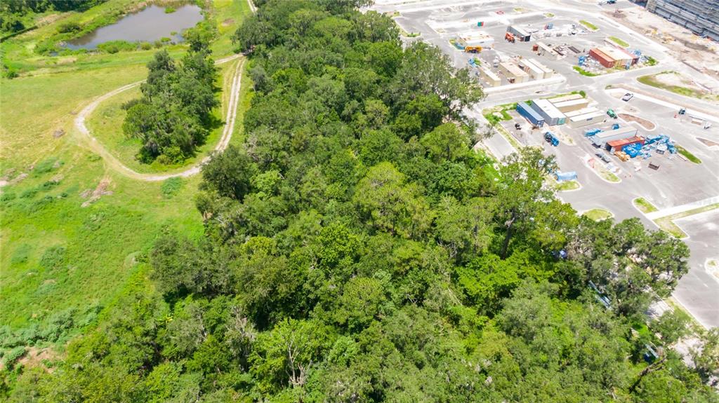 3113 North Wilder Road Plant City, FL 33563 - Photo 45 of 55