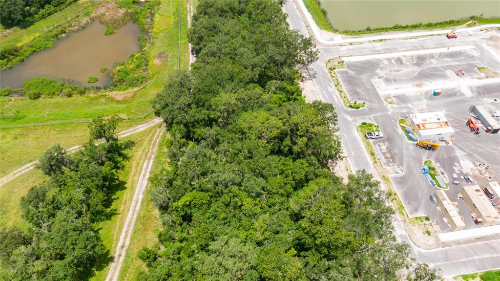 3113 North Wilder Road Plant City, FL 33563 - Photo 46 of 55