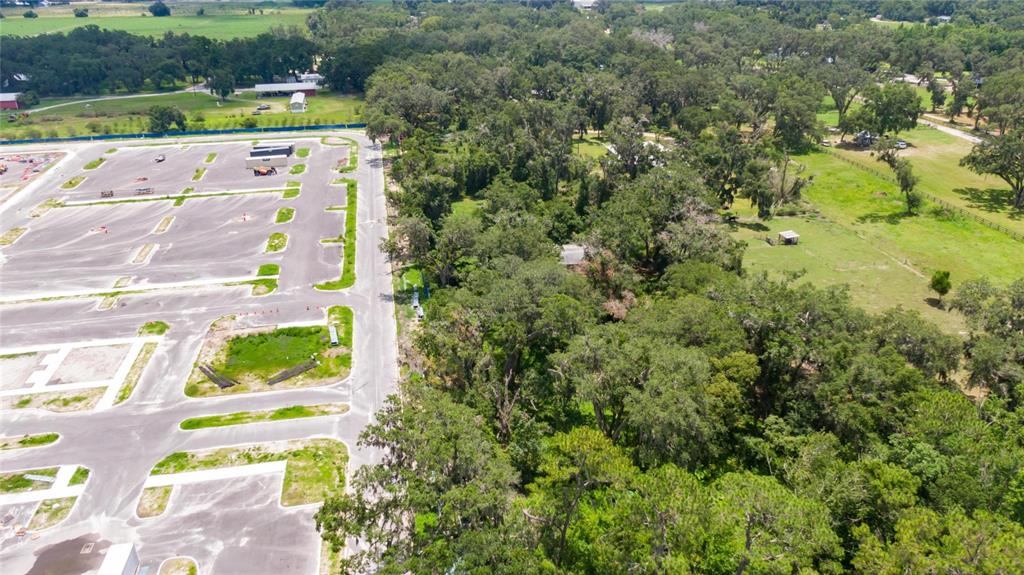 3113 North Wilder Road Plant City, FL 33563 - Photo 47 of 55