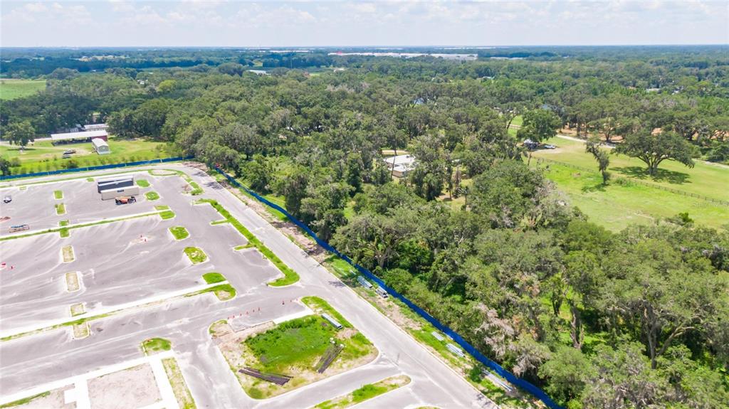 3113 North Wilder Road Plant City, FL 33563 - Photo 48 of 55