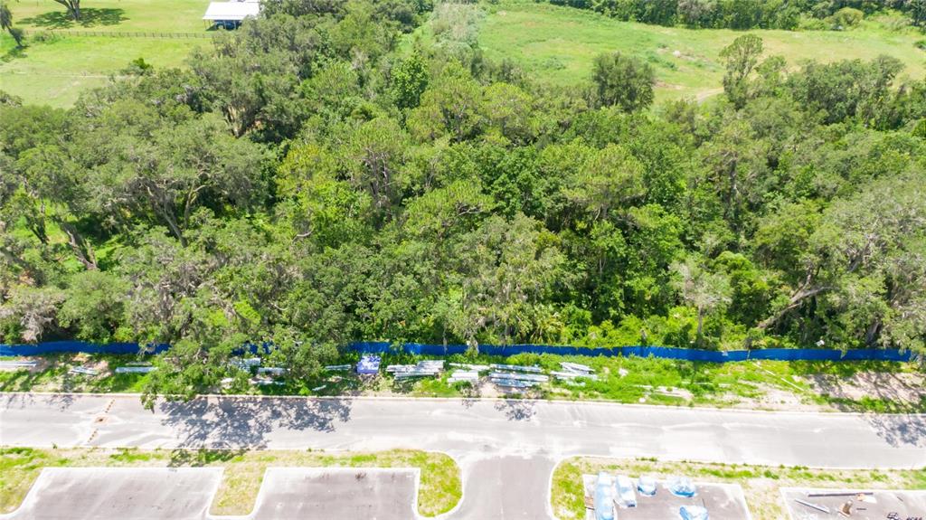 3113 North Wilder Road Plant City, FL 33563 - Photo 49 of 55