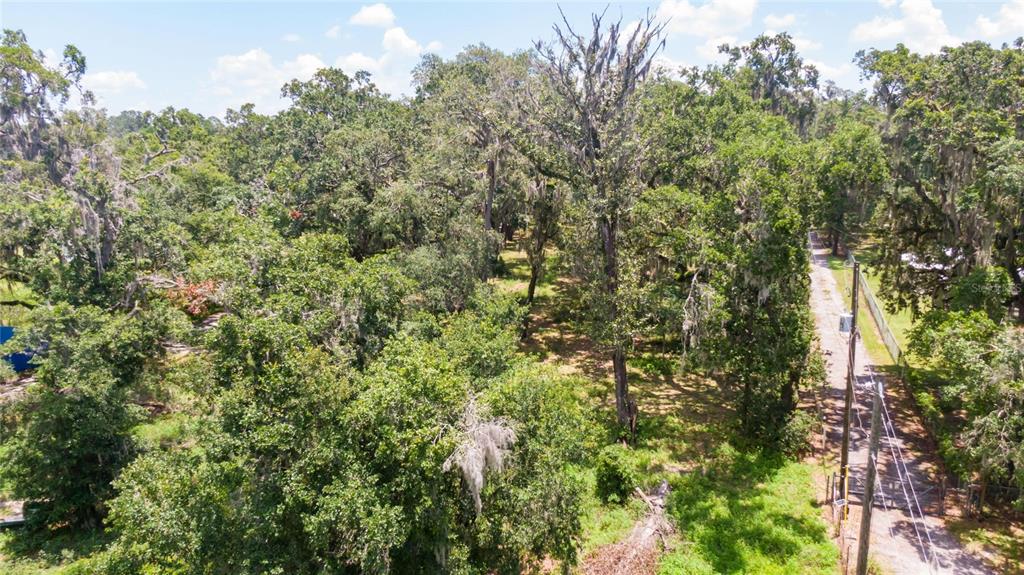 3113 North Wilder Road Plant City, FL 33563 - Photo 53 of 55