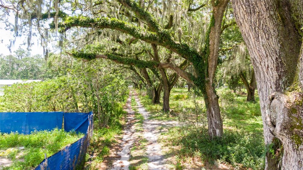 3113 North Wilder Road Plant City, FL 33563 - Photo 54 of 55