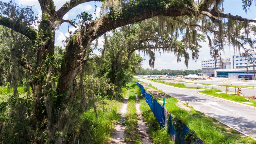 3113 North Wilder Road Plant City, FL 33563 - Photo 55 of 55