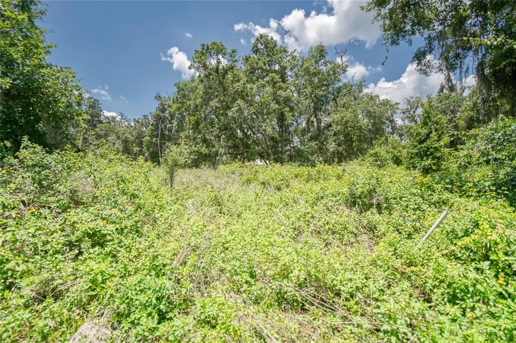 3113 North Wilder Road Plant City, FL 33563 - Photo 7 of 55