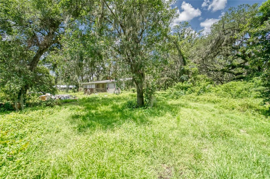 3113 North Wilder Road Plant City, FL 33563 - Photo 8 of 55