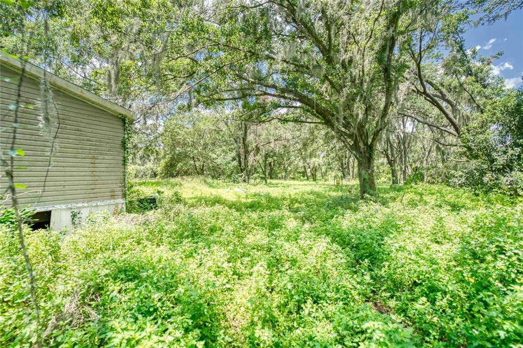 3113 North Wilder Road Plant City, FL 33563 - Photo 10 of 55