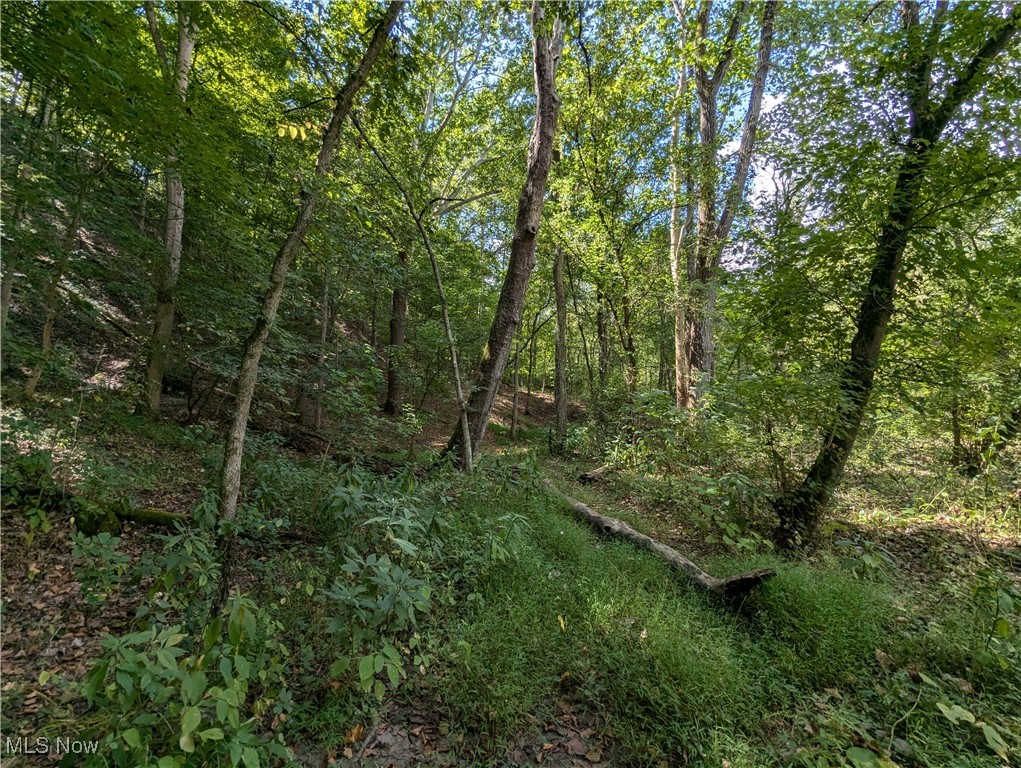 1 County Road Rayland, OH 43943 - Photo 9 of 32 Gallery Image 9