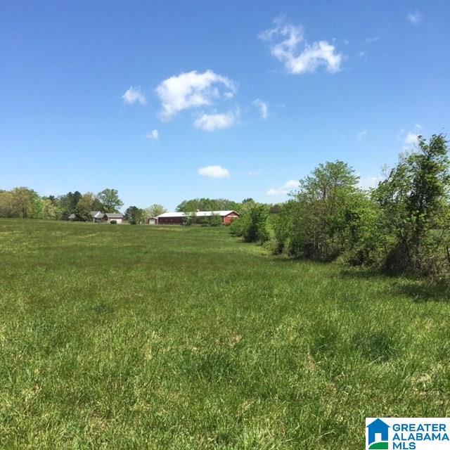 106 County Road, Unit 49836 Mentone, AL 35984 - Photo 5 of 17