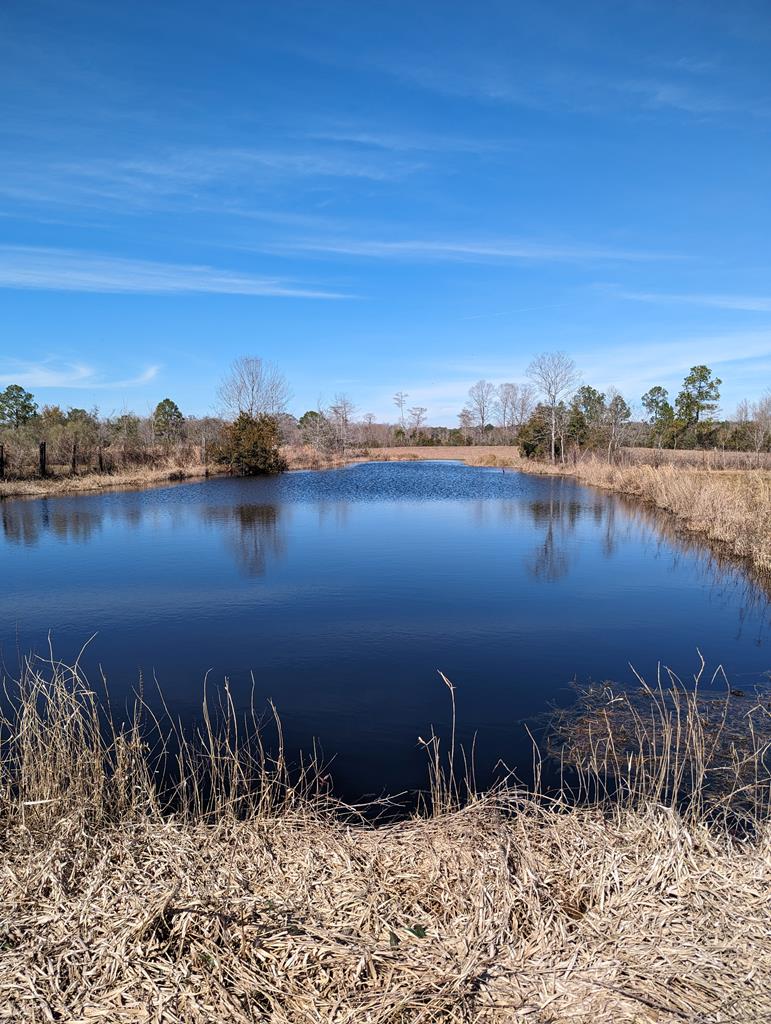 6002 Goat Hill Road Samson, AL 36477 - Photo 37 of 43