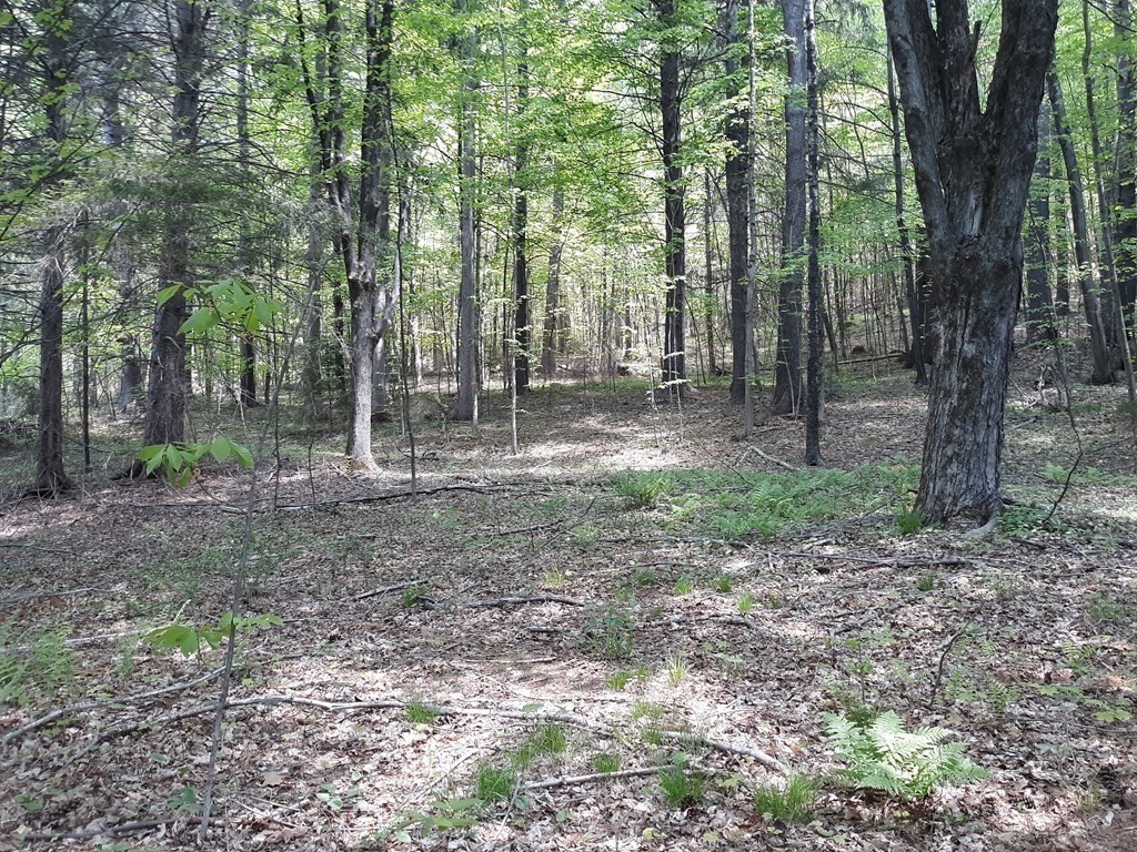 Lot 189 Amherst Road Leverett, MA 01054 - Photo 1 of 9