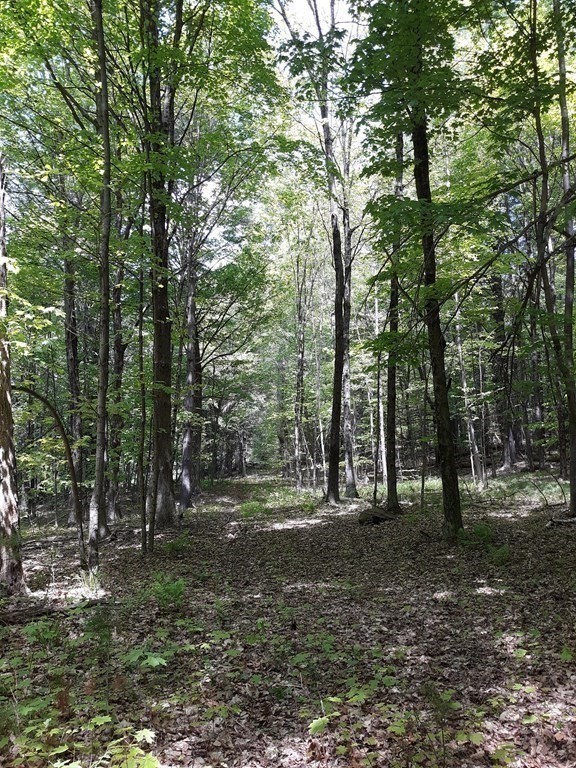 Lot 189 Amherst Road Leverett, MA 01054 - Photo 5 of 9