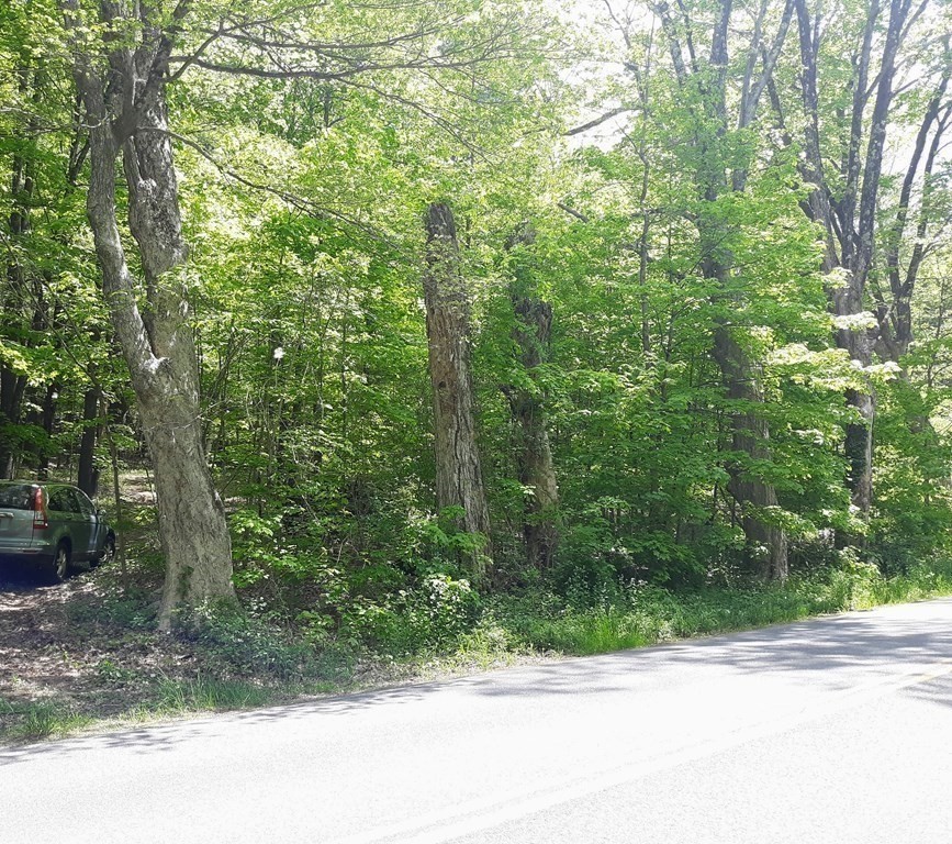 Lot 189 Amherst Road Leverett, MA 01054 - Photo 6 of 9