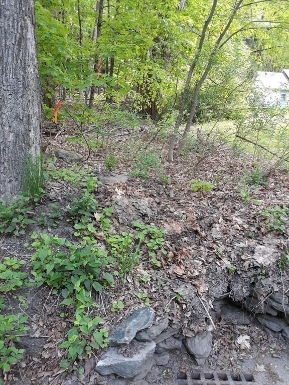 Lot 189 Amherst Road Leverett, MA 01054 - Photo 8 of 9