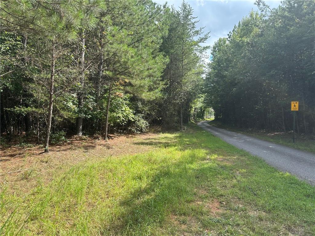 0 Lee Mashburn Road Dahlonega, GA 30533 - Photo 18 of 19