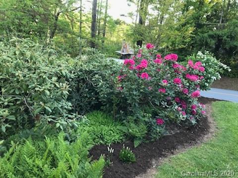 1119 North Country Club Road, Unit 90 91 Brevard, NC 28712 - Photo 3 of 42 Gallery Image 3