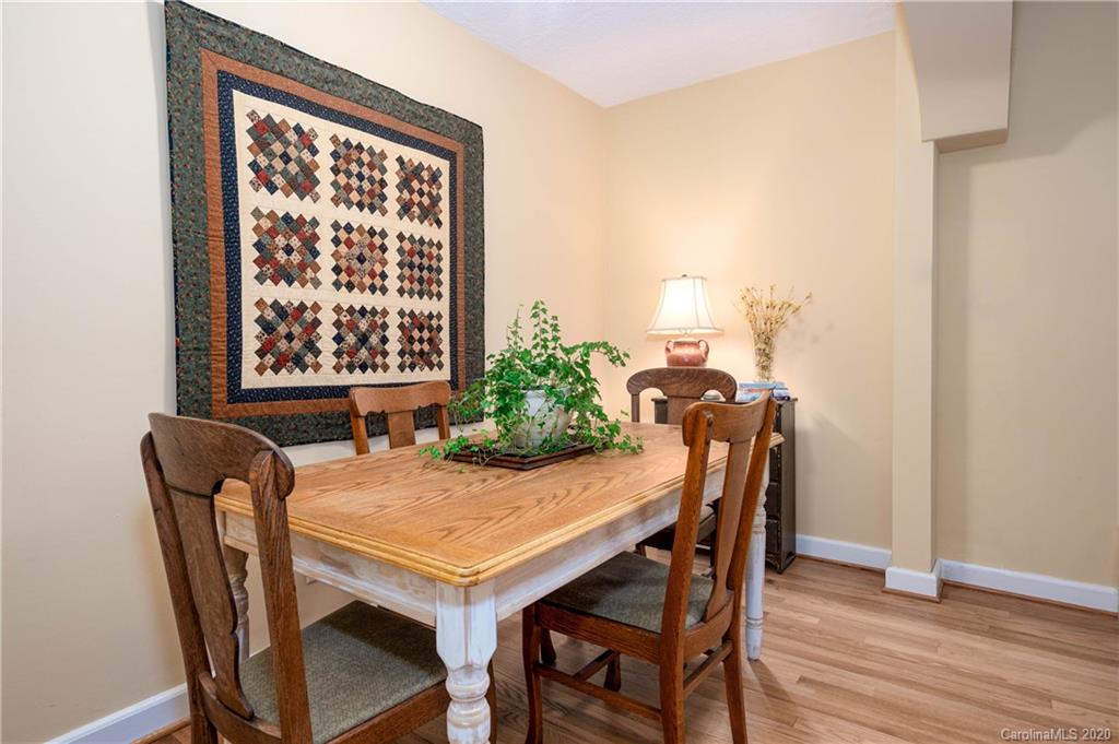 1119 North Country Club Road, Unit 90 91 Brevard, NC 28712 - Photo 10 of 42 Gallery Image 10