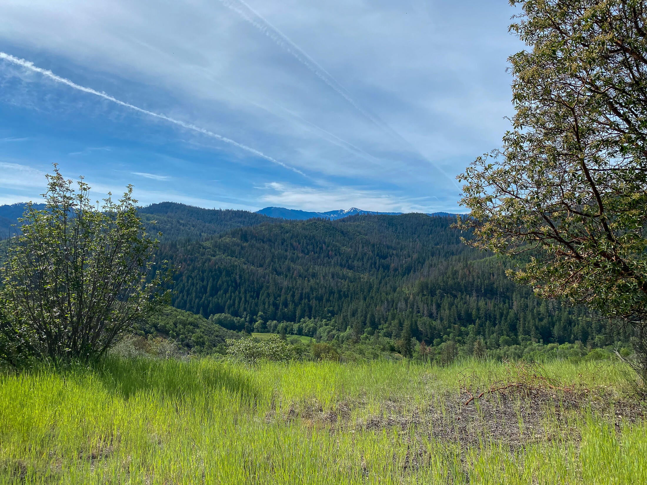7696 Little Applegate Road Jacksonville, OR 97530 - Photo 19 of 22 019