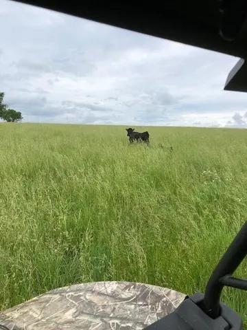 $9,562,000 | 20886 East B Highway, Sheldon, MO 64784