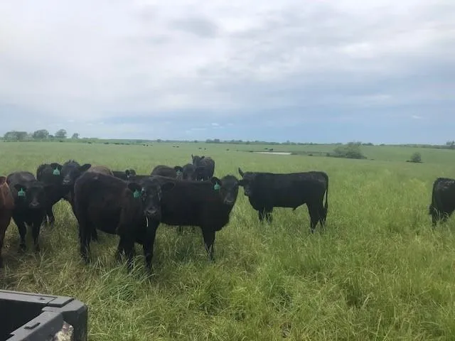 $9,562,000 | 20886 East B Highway, Sheldon, MO 64784