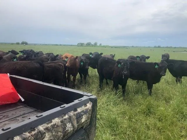 $9,562,000 | 20886 East B Highway, Sheldon, MO 64784