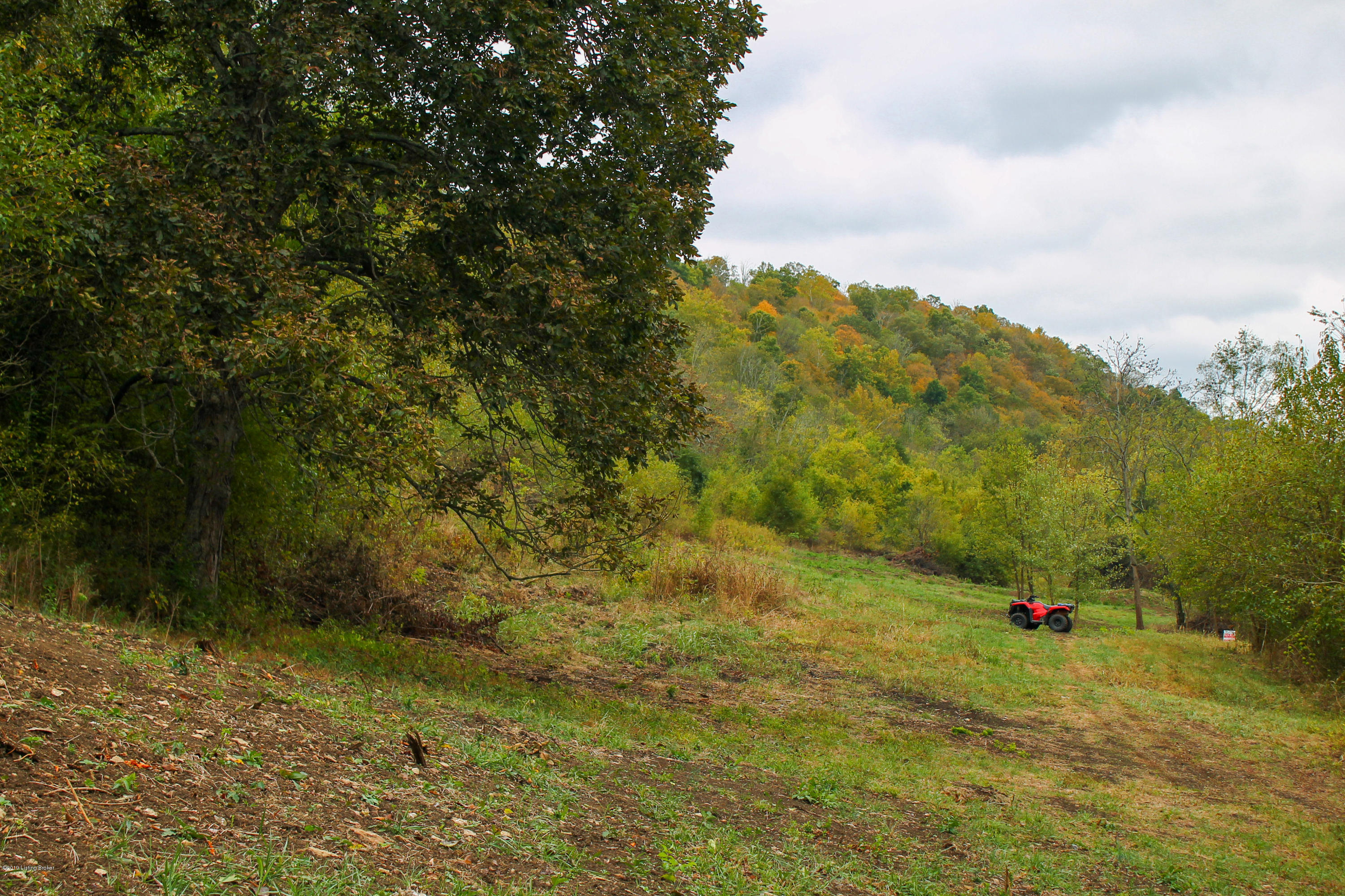 0 Carlisle Road Carrollton, KY 41008 - Photo 2 of 3 IMG_7457