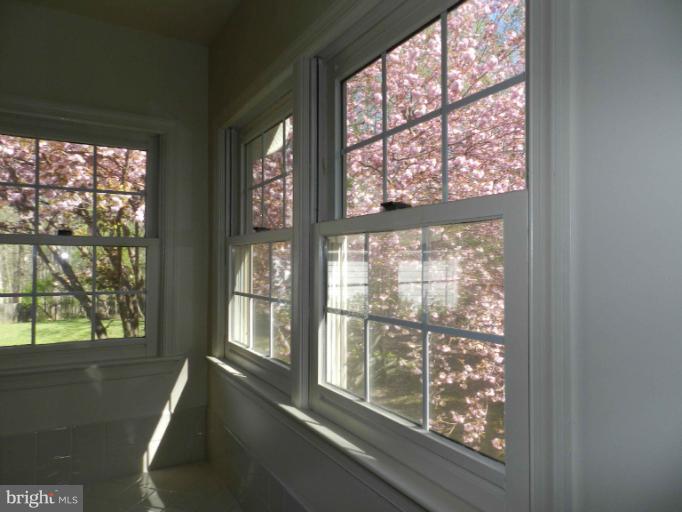 524 Ridgewell Way Silver Spring, MD 20902 - Photo 11 of 20 View thru Master bath windows