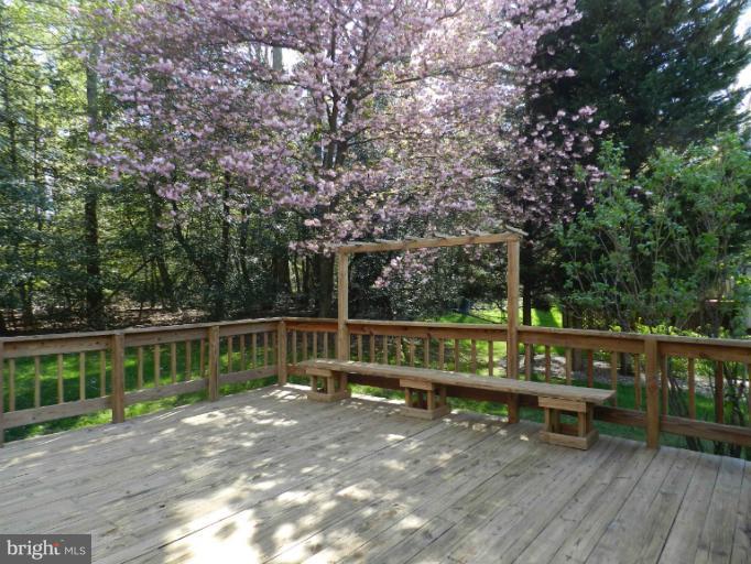 524 Ridgewell Way Silver Spring, MD 20902 - Photo 13 of 20 Back yard view from deck