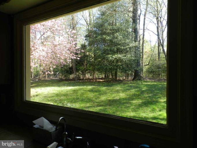 524 Ridgewell Way Silver Spring, MD 20902 - Photo 2 of 20 Picture perfect thru kitchen window