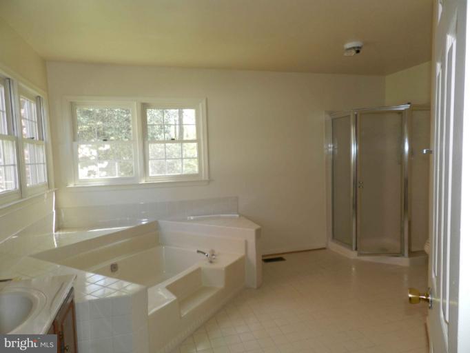 524 Ridgewell Way Silver Spring, MD 20902 - Photo 3 of 20 Bath (Master)