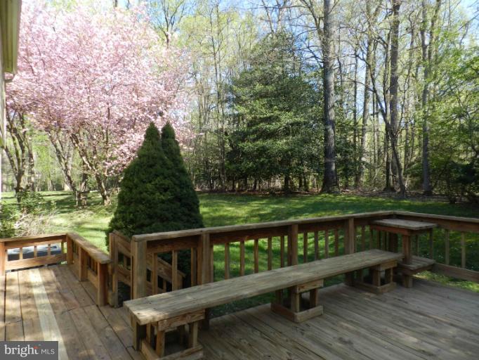 524 Ridgewell Way Silver Spring, MD 20902 - Photo 4 of 20 Another view of back yard