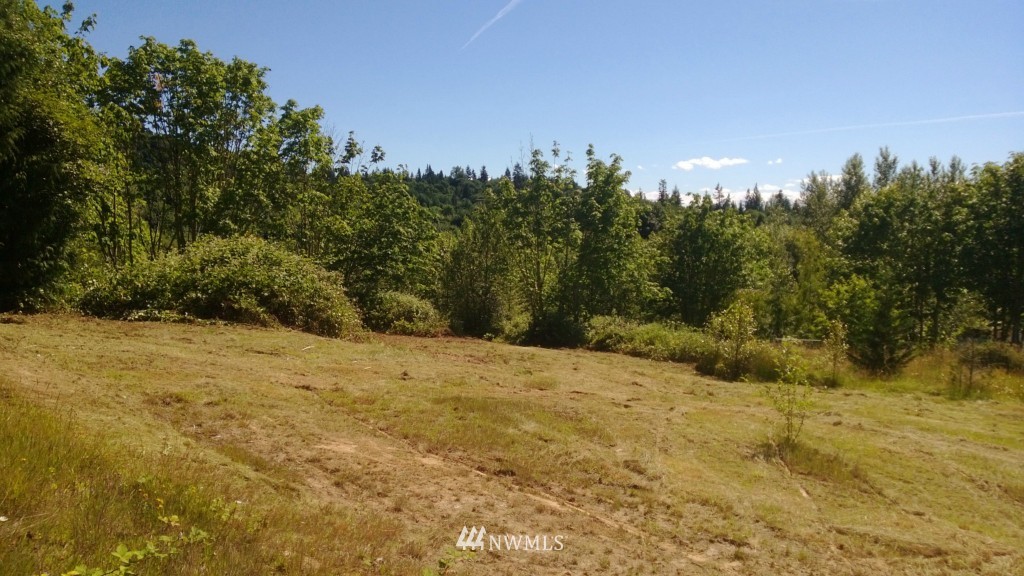 424 Ross Road Kelso, WA 98626 - Photo 3 of 13 Gallery Image 3