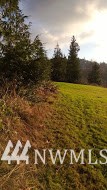 424 Ross Road Kelso, WA 98626 - Photo 4 of 13 Gallery Image 4