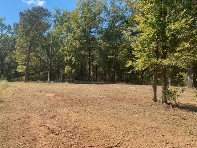 Lot 7-r-1 North Rd Leesburg Tx 75451 Road Leesburg, TX 75451 - Photo 4 of 5