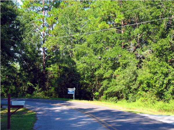 Lot 49 Country Manor Road DeFuniak Springs, FL 32435 - Photo 1 of 2 Gallery Image 1