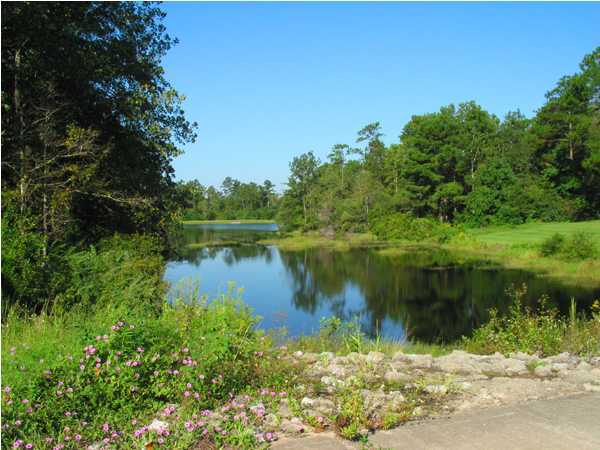 Lot 49 Country Manor Road DeFuniak Springs, FL 32435 - Photo 2 of 2 Gallery Image 2