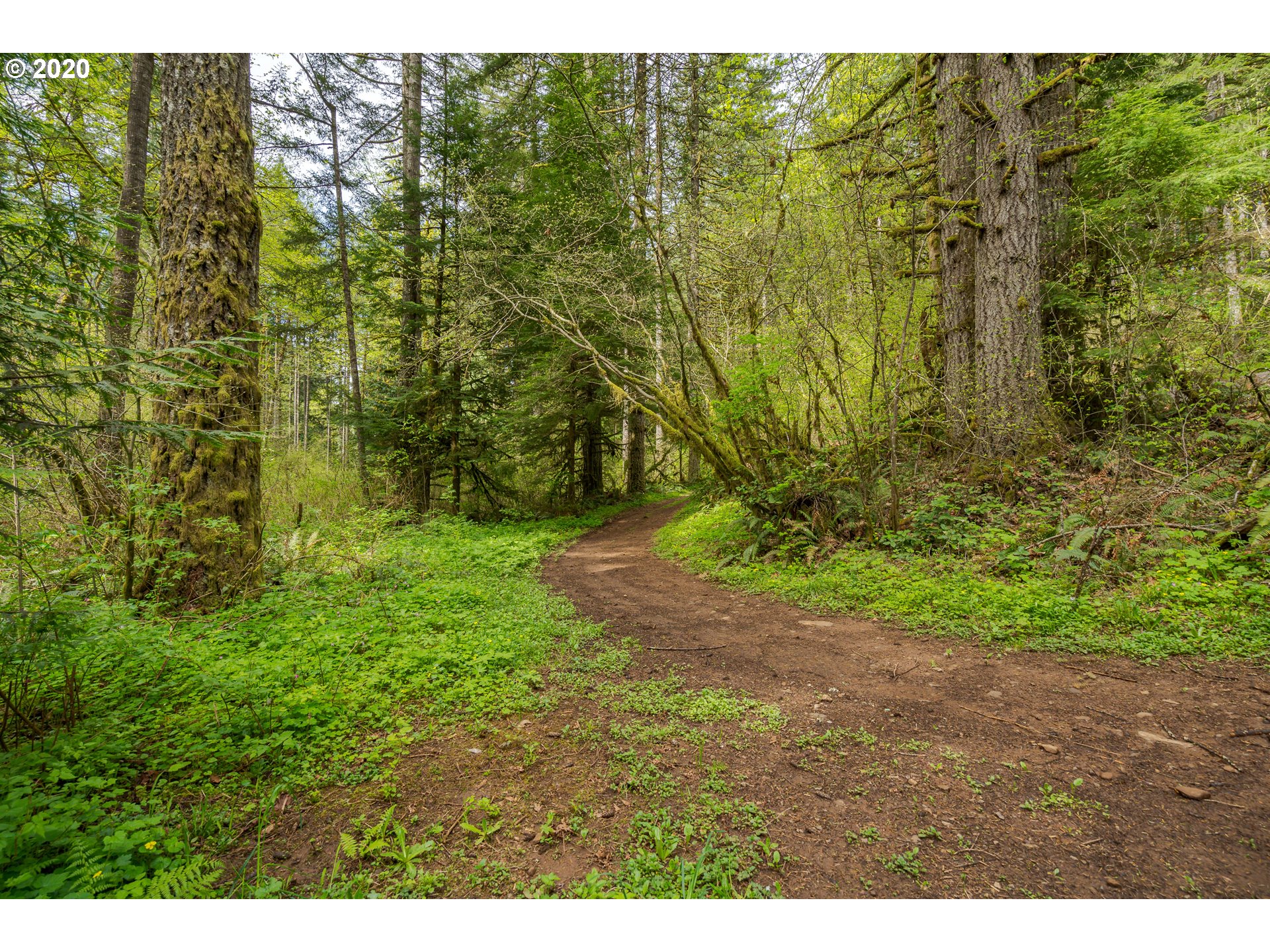 44190 Southeast Tuckridge Road Sandy, OR 97055 - Photo 31 of 32