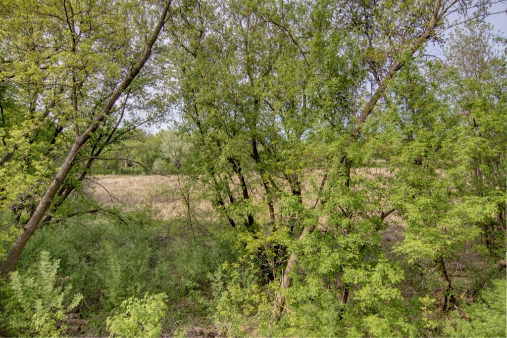 18808 Covington Road Minnetonka, MN 55345 - Photo 21 of 79 Gallery Image 21