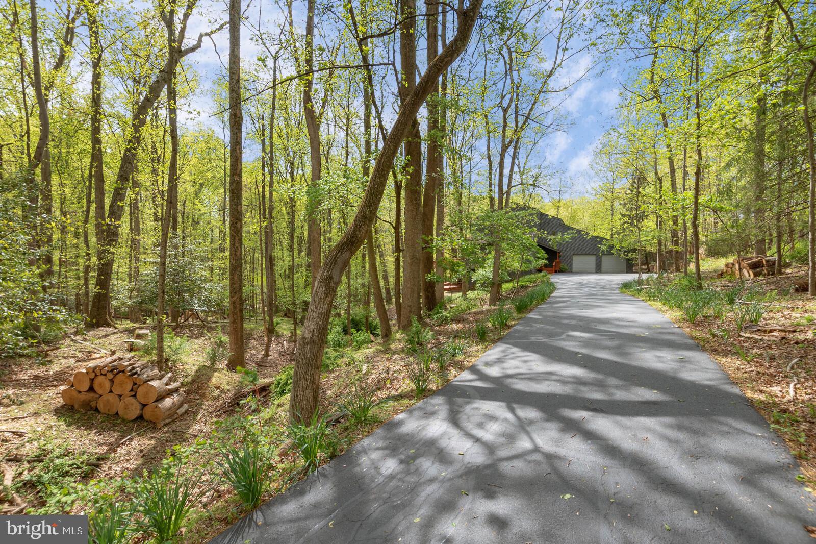10431 Lawyers Road Vienna, VA 22181 - Photo 3 of 53 Gallery Image 3